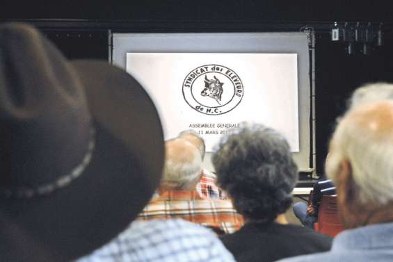 Les éleveurs sonnent l’alarme sur la raréfaction du foncier  