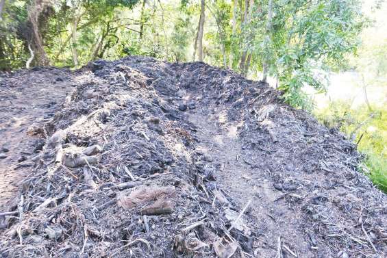 Des déchets verts très encombrants