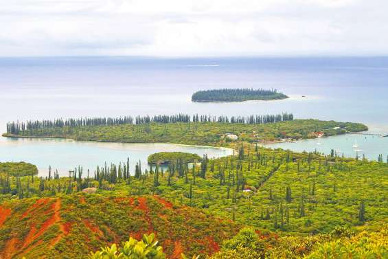 Un trafic d’alcool découvert à l’île des Pins