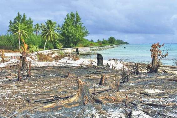 Essais : douze vétérans seront indemnisés