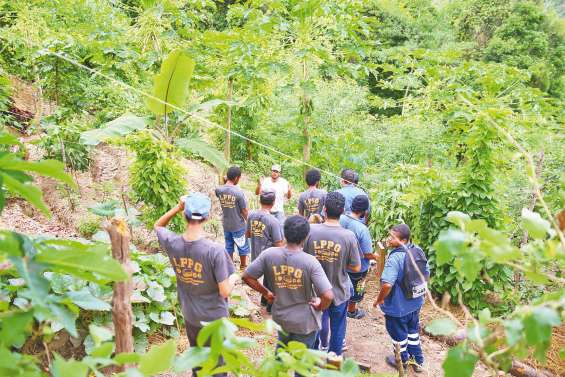 Des élèves de Bourail se plongent dans le monde de la permaculture
