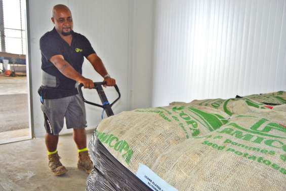 Dix tonnes de semences de pommes de terre sont au frais