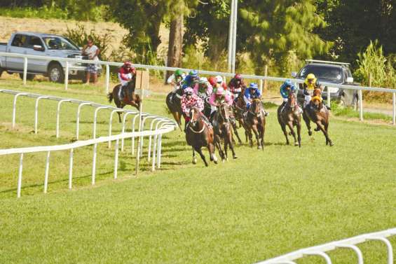 Premières courses samedi à Bourail