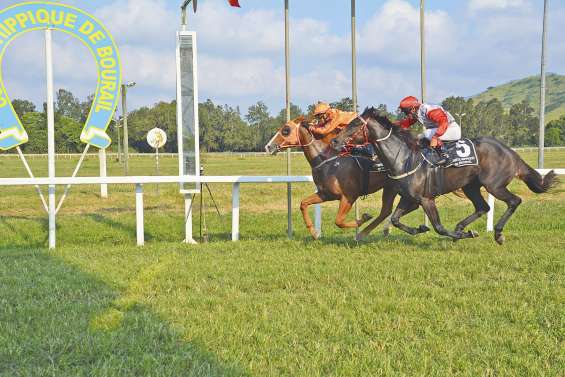 Les cadors déjà au rendez-vous