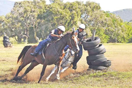 Les résultats des jeux équestres