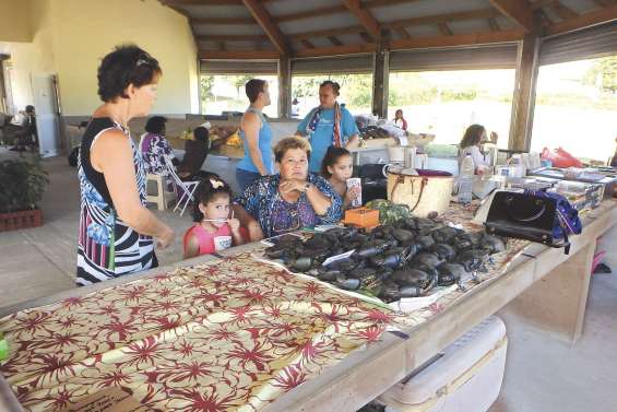 Le plein d’activités  avant la tempête