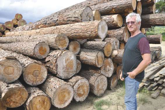 La filière bois prend racine dans le Nord