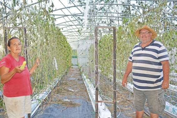 Cook n’a fait qu’une bouchée de ses légumes
