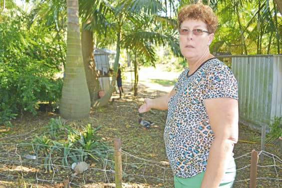 Des animaux primés massacrés par des chiens