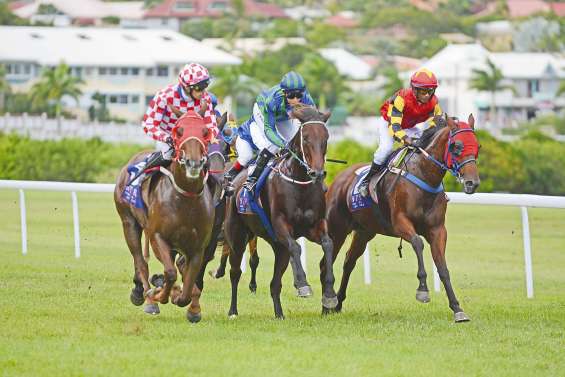Rose of Falkirk, reine de Nouméa