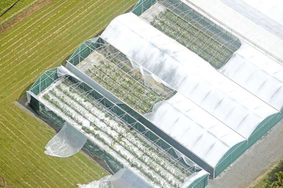 Une aide de trésorerie pour les agriculteurs sinistrés