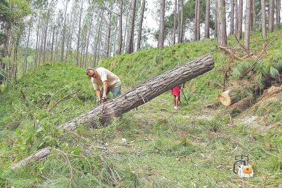 Le raid de Oui Poin est reporté