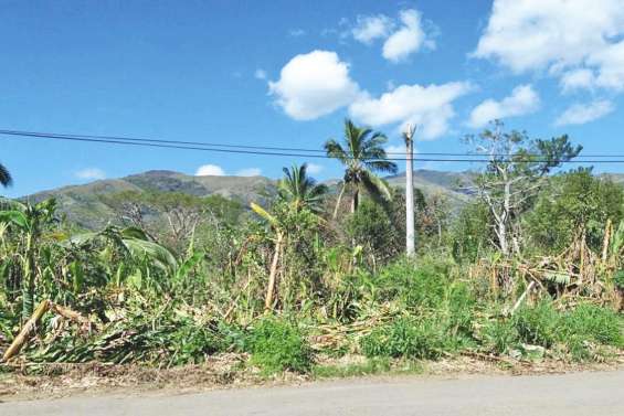 Un retour à la  normale progressif