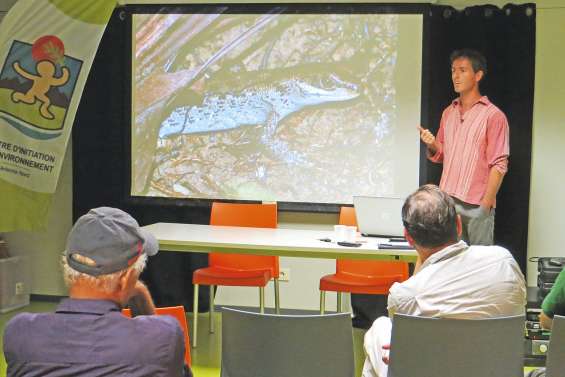 Les petits reptiles  à l’honneur
