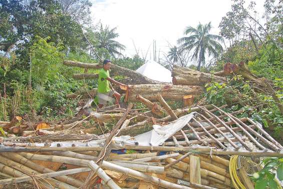 Une entreprise de tourisme veut rebondir après Cook