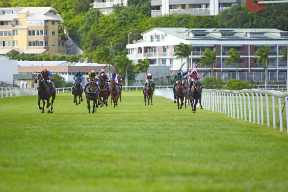 La foire aux paris estouverte à Boulouparis