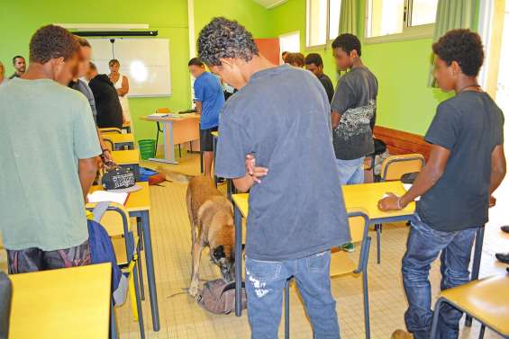 A la recherche de cannabis dans les cartables