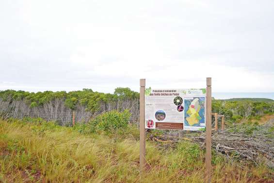 Une conférence pour connaître les plantes menacées