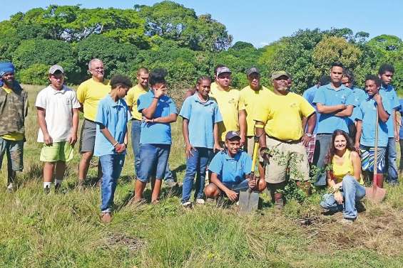 Les collégiens aux petits soins de la forêt sèche