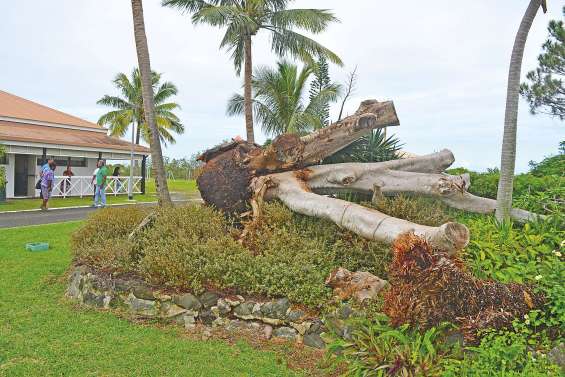 40 millions de dégâts à la suite du passage de Cook