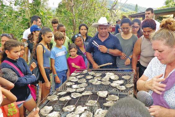 Des perles et des pintadines au marché