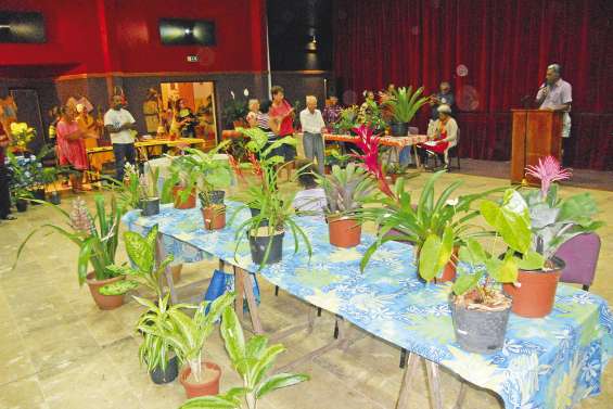 Les Floralies de retour au centre socioculturel