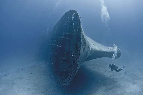 Début demain du Festival de l’image sous-marine
