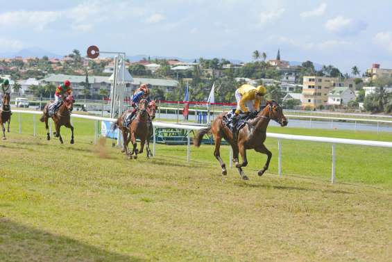 Boy by Sea veut confirmer à La Foa