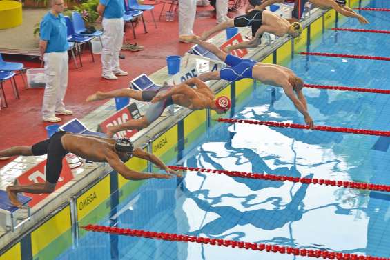 Petit Grousset pourrait devenir grand