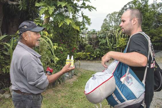 10 victimes, 4 000 malades : l’épidémie de dengue n’en finit pas