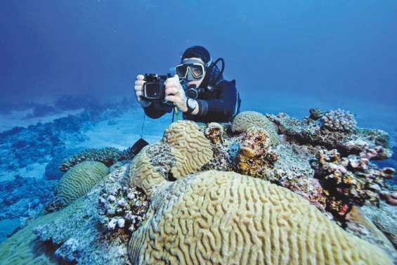 Quel rôle pour notre parc marin ?