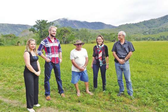 Une aide aux jeunes pousses  de la pomme de terre