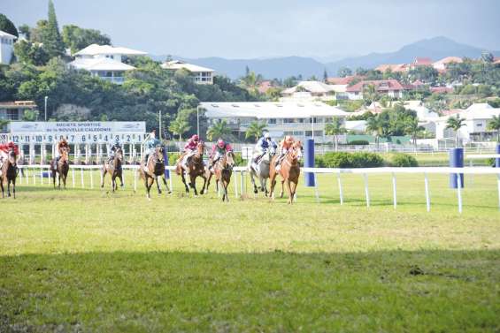 Les chevaux font escale à Henry-Milliard