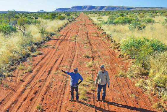 Une immense clôture contre les chats