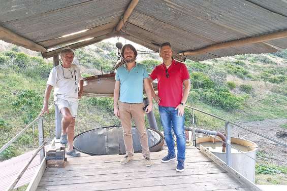 Vers un « vrai » répulsif à base d’huiles essentielles ?