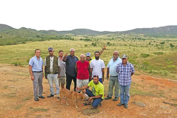 Une terre consacrée à l’énergie solaire
