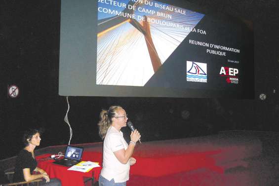 Le biseau salé à la loupe