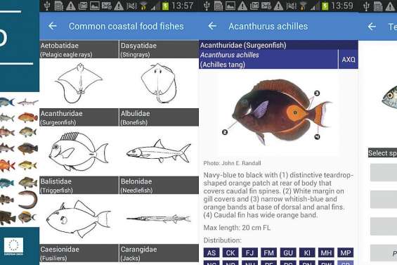 Identifiez vos prises de pêche en un clic