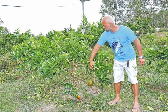 Un jardin des délices  à la force des poignets