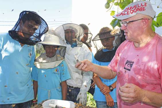 Des collégiens  et des abeilles