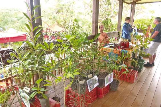 Au bonheur des plantes