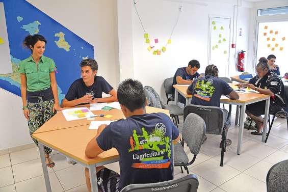 Chacun son coaching en BTS agricole