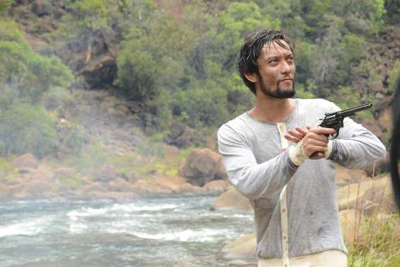 Six visages pour un seul Nautile