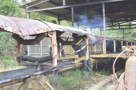 La serpentine restera silencieuse durant une semaine