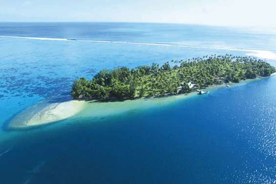 A vendre : motu ayant appartenu à Diana Ross