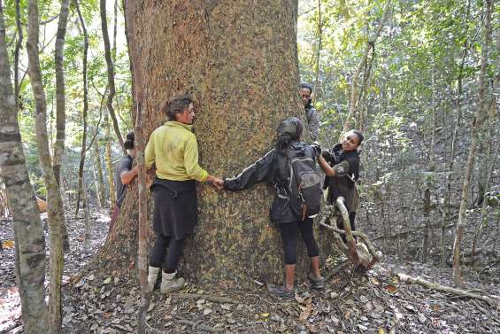 A Ouengo, au cœur  d’un patrimoine naturel