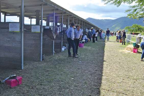 Le cheval en fête à Boulouparis
