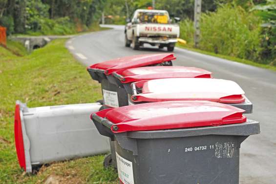 Bientôt des puces sur les poubelles