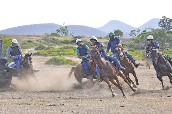 Cavaliers du Nord :  les résultats