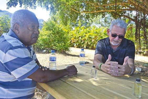 Un arbre généalogique  aux 222 noms de famille